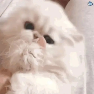 廖承宇《大雕》
