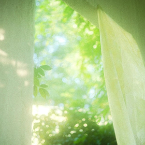 廖承宇《大雕》
