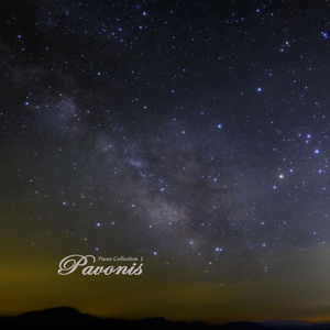 廖承宇《大雕》
